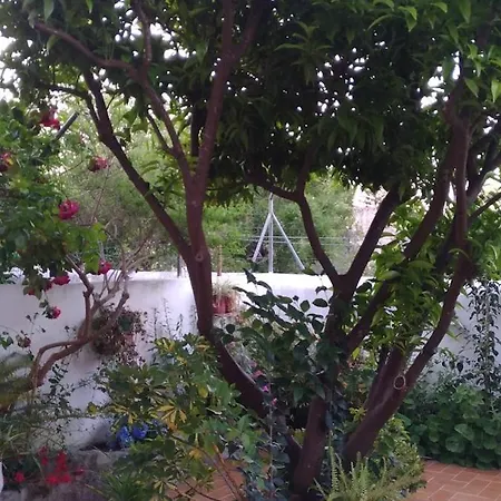 Casa Tangerina *
